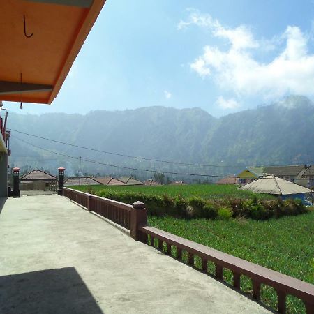 Tengger Indah Homestay Bromo Bagian luar foto