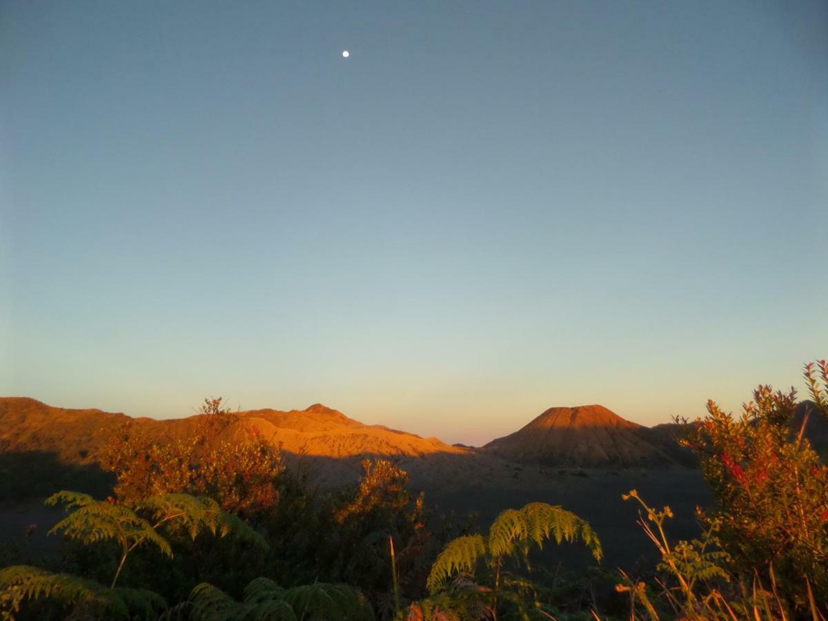 Tengger Indah Homestay Bromo Bagian luar foto