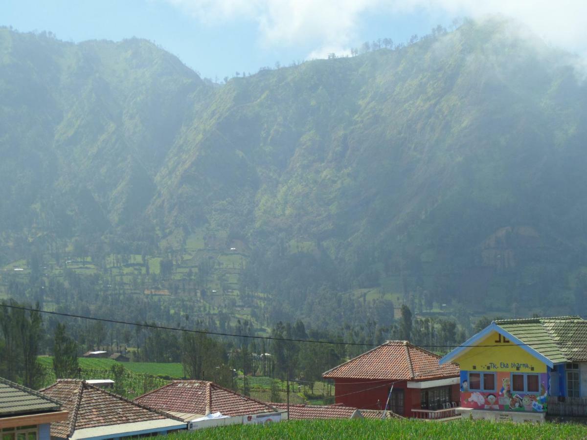 Tengger Indah Homestay Bromo Bagian luar foto