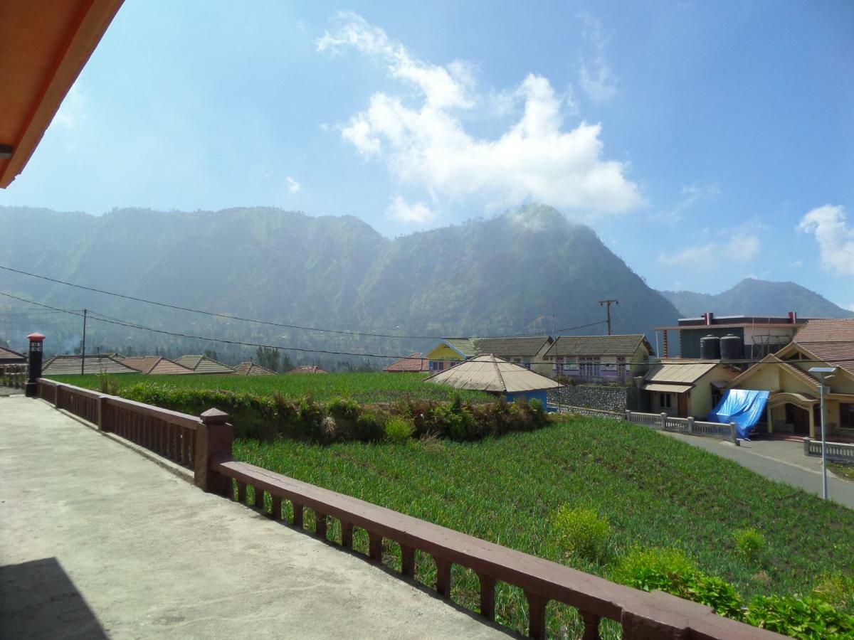 Tengger Indah Homestay Bromo Bagian luar foto
